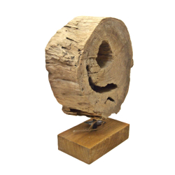 Rzeźba Koło z surowego drewna Art 39cm
